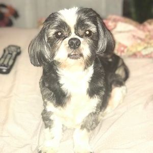 Meet your Posher, Tammy